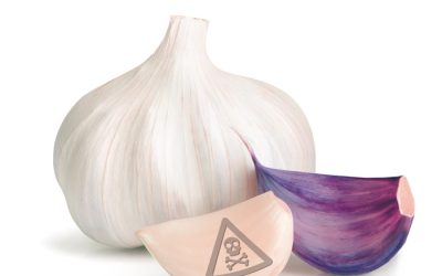 DID YOU KNOW THAT GARLIC CONTAINS CYANIDE?